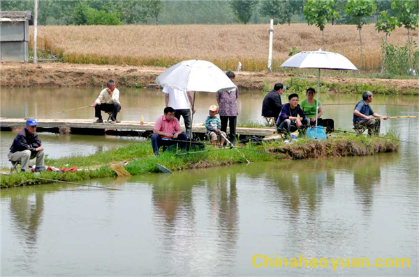 130818451919 J9直营集团【中国区】官方网站