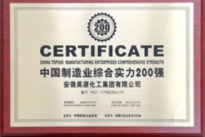 2067f495a22081265